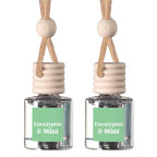 Two clear glass reed diffuser bottles with pale wood caps and hanging cords, each labeled Eucalyptus & Mint on a white background.