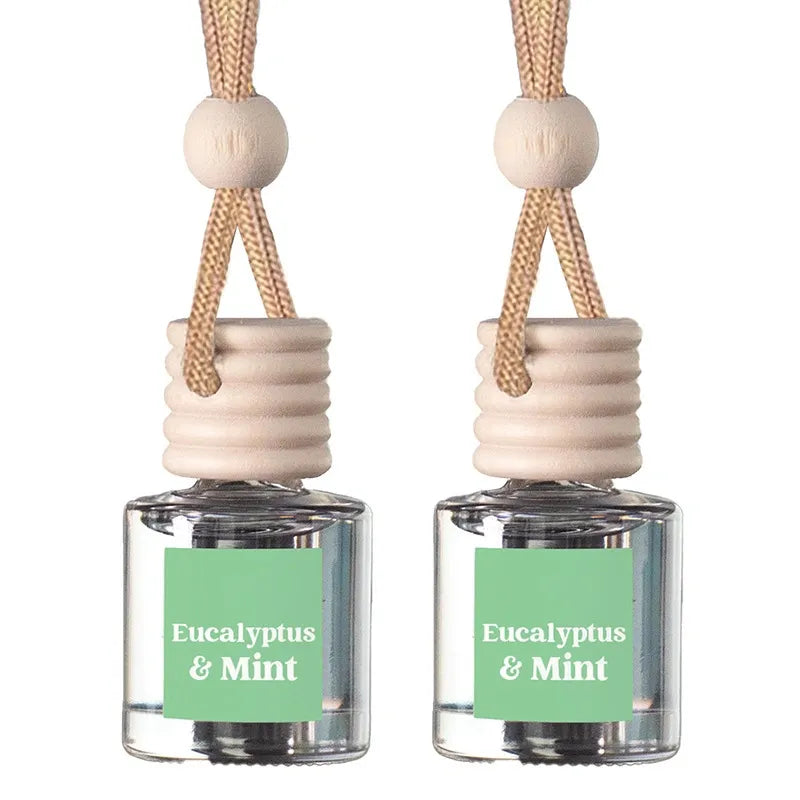 Two clear glass reed diffuser bottles with pale wood caps and hanging cords, each labeled Eucalyptus & Mint on a white background.